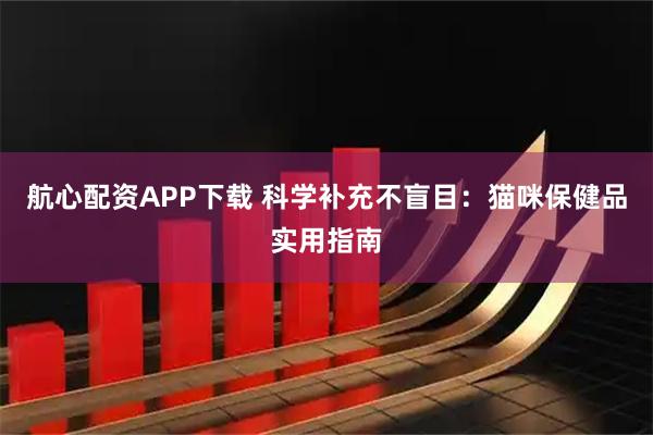 航心配资APP下载 科学补充不盲目:猫咪保健品实用指南