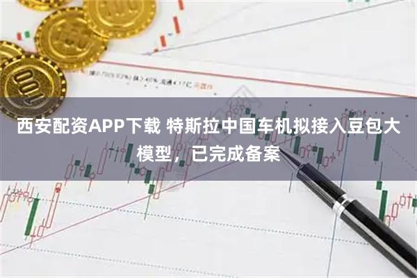 西安配资APP下载 特斯拉中国车机拟接入豆包大模型，已完成备案